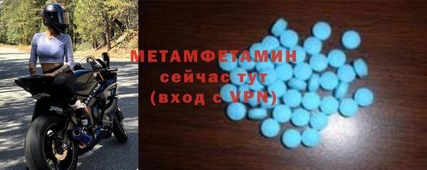 PSILOCYBIN Горняк