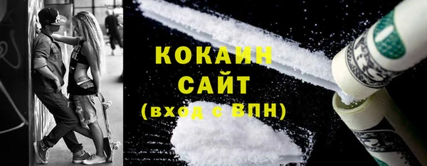PSILOCYBIN Горняк