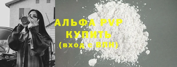 PSILOCYBIN Горняк