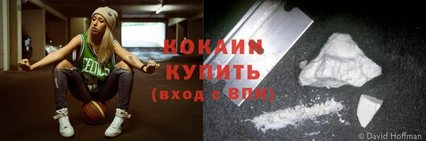 PSILOCYBIN Горняк