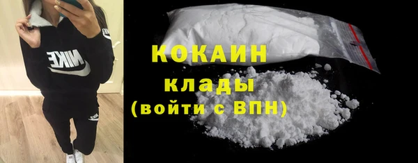 PSILOCYBIN Горняк