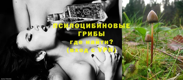 PSILOCYBIN Горняк