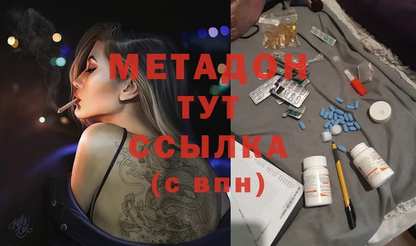 PSILOCYBIN Горняк