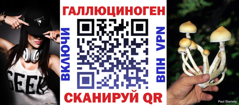 Псилоцибиновые грибы Cubensis  kraken маркетплейс  Долинск 